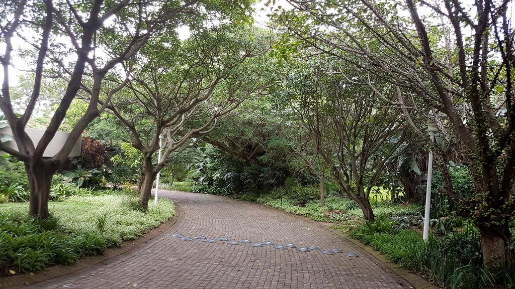 703 Oyster Schelles - By Stay In Umhlanga Durban Exteriör bild
